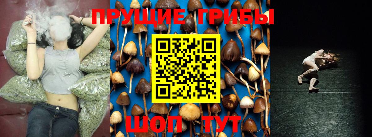 Галлюциногенные грибы мухоморы  Псилоцибиновые грибы MAGIC MUSHROOMS  Вход с VPN  Долгопрудный 