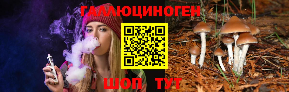 Псилоцибиновые грибы Magic Shrooms Долгопрудный